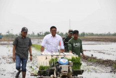 Siap Perkuat Visi Prabowo Wujudkan Swasembada Pangan