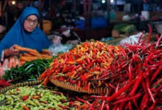 Cabai Merah Jadi Pemicu Utama Kenaikan Harga, IPH Merangin Minggu Ketiga September Tembus 2,93 Persen