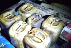 Propam Periksa Dua Polisi, Terkait Kasus Illegal Tapping di Jambi