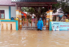 31 Sekolah Terdampak Banjir