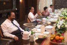 Jokowi Panggil Surya Paloh ke Istana 