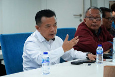 Gubernur Al Haris Temui Dirjen Pembiayaan Infrastruktur, Bahas Rencana Hibah ANHA untuk Kelola Danau Sipin