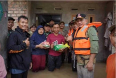 Wakil Bupati Jun Mahir Tinjau Korban Banjir di Kecamatan Kumpeh Ulu dan Taman Rajo