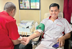 Sinsen Gelar Donor Darah dan Cek Tulang Gratis, perkuat Kepedulian dengan Berbagi Darah Berbagi Kehidupan