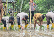 Pertahankan Lahan Sawah, Demi Menjaga Ketahanan Pangan Bagi Masyarakat