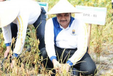 Angkat Daya Beli, SAH Minta Pemerintah Tingkatkan Produktivitas Petani