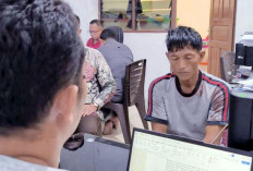 Ninja Sawit Tertangkap Bawa TBS Curian