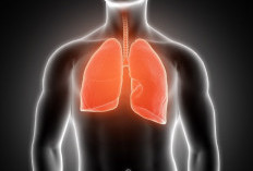 Pentingnya Menjaga Kesehatan Paru-paru