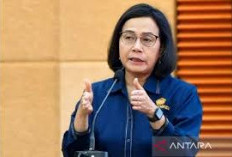 Indonesia Perkuat Ekonomi Usai Trump Tolak Kesepakatan Pajak Global