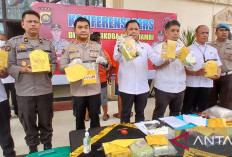 Polda Jambi Sita Ratusan Kilogram Narkoba 
