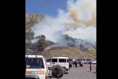 Lahan Gunung Bromo Sekitar 50 Hektar Hangus Terbakar, Penyebabnya Masih Diselidiki