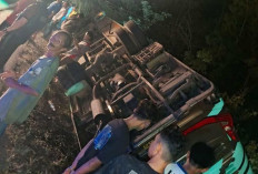 4 Orang Meninggal Dunia, Kecelakaan Bus Jamaah umroh Asal Jambi