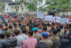 Massa Tuntut Hentikan Seluruh Aktivitas PT Tebo Indah