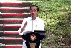 Jokowi Groundbreaking Proyek Investor Asing Pertama di IKN, Sekaligus Ajak Investor Masuk IKN