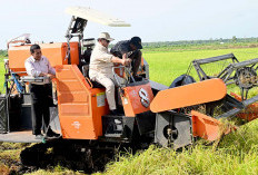 Kebutuhan Pokok Tak Kena PPN 12%