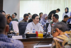 Wujudkan Infrastruktur Ramah Perempuan