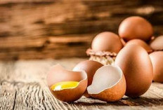 5 Cara Mengenal Telur Ayam Rusak Atau Busuk