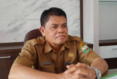 Stok Beras Capai 43 Ton, Aman Hingga Maret 2026