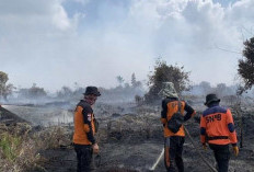 Karhutla di Jambi Capai 417 Hektare, Kualitas Udara Baik Hingga Sedang