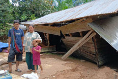 Ratusan Rumah Warga Terendam, Banjir Terjang Kampung Penual Ujung Tanjung