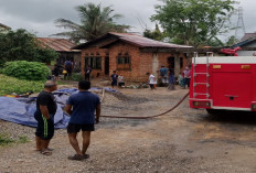 BREAKING NEWS: 3 Rumah di Desa Niaso Muarojambi Hangus Terbakar