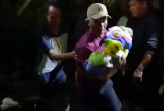 Dua Bocah Tertimbun Saat Bermain di Depan Rumah, Tanah Longsor di Tanjab Barat 