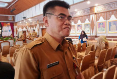Pemprov Jambi Dorong Kenaikan DBH Sawit