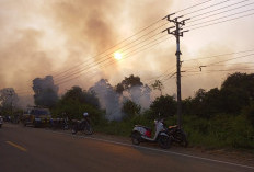 BREAKING NEWS: Lahan di Aurduri Kota Jambi Terbakar Sore Ini