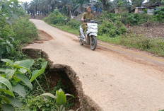  Jalan Provinsi Jambi di Rantau Ikil Nyaris Amblas Akses Antarprovinsi Terancam Putus Total