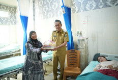 Wabup Jun Mahir Tinjau Rumah Sakit Sungai Bahar, Soroti Mutu Layanan dan Akses Kesehatan Warga 