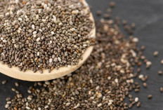 Manfaat Chia Seed untuk Kesehatan