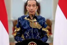 Presiden Jokowi Sebut Lebih Dari 2,1 Juta Situs Judol Sudah Ditutup