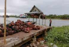 Desak Perusahaan Perbaiki Dermaga Teluk Buan Rusak Parah Pasca Tersenggol Tugboat