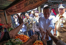 Presiden Tinjau Harga Bahan Pokok di Pasar Mungkid Magelang
