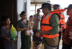 Wakil Bupati Jun Mahir Tinjau Korban Banjir di Kecamatan Kumpeh Ulu dan Taman Rajo