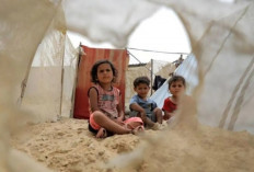 Kepala UNRWA Desak Gencatan Senjata di Gaza Akibat Evakuasi Massal Israel