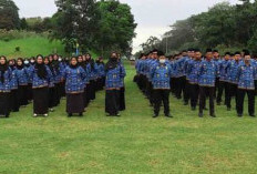 Tanjab Timur Kekurangan Ratusan ASN, Banyak yang Masuk Masa Pensiun 