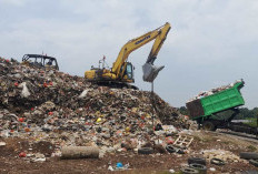 70 Persen Didominasi Organik, Kondisi Sampah di Kota Jambi