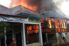 Angka Kebakaran di Bungo Meningkat, 175 Kasus Didominasi oleh Karhutla