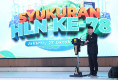 HLN Ke-78, Presiden Jokowi Beri Selamat ke PLN