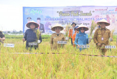 Inflasi Kota Jambi Kian Terkendali