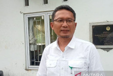 Pengawasan Perdagangan Burung Diperketat, BKSDA Sita 1.785 Ekor Burung Sepanjang 2025