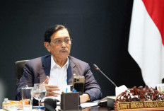 Luhut Sebut Produk RI Lebih Bersaing di Pasar Global, Terkait Tarif AS 19 Persen