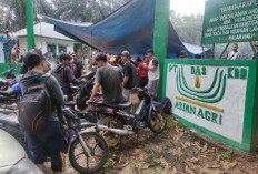 Tuntut Bupati Anwar Sadat, Masyarakat Badang Duduki Lahan Sawit PT DAS