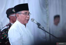 Pemecatan Ketum PBNU Dinilai Prematur