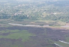 Satgas Karhutla Tanjabbar Berhasil Padamkan Kebakaran Lahan Seluas 5 Hektare di Betara