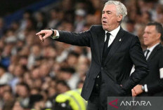 Bakal Tinggalkan Real Madrid, Ancelotti Siap Latih Brasil
