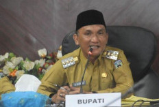 Bupati Sarolangun H. Hurmin Hadiri Puncak Hari HAM Sedunia Ke-77 di Jakarta