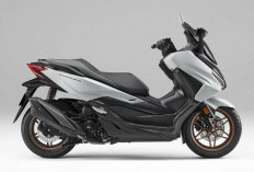 Honda Forza Tampil Semakin Berkelas, Panel Meter TFT Baru dan Warna Eksklusif