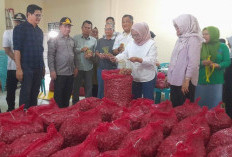 Pj Walikota Jambi Cek Bawang Asal Brebes, Untuk Kendalikan Harga Bawang Merah Di Kota Jambi